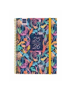 Agenda Finocam