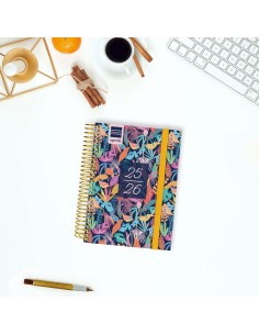 Agenda Finocam 2