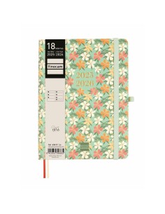 Agenda Finocam 2