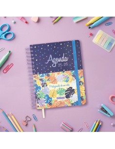 Agenda Finocam 2