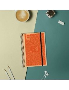Agenda Finocam 2