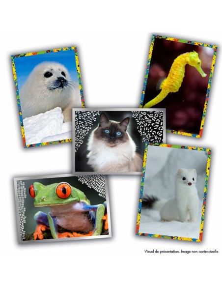 Pack d'images Panini Animaux