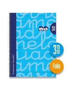 Lot de cahiers Lamela Bleu Din A4 80 Volets 21,5 x 31,5 cm 5 Pièces (4 Unités) 2