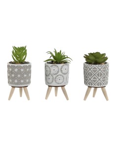 Plante décorative Home ESPRIT Polyéthylène Ciment 6,5 x 6,5 x 11 cm (3 Unités)