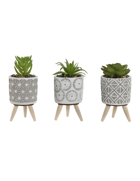 Plante décorative Home ESPRIT Polyéthylène Ciment 6,5 x 6,5 x 11 cm (3 Unités)