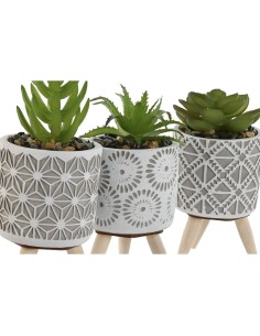 Plante décorative Home ESPRIT Polyéthylène Ciment 6,5 x 6,5 x 11 cm (3 Unités) 2