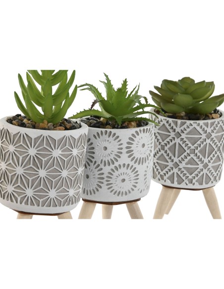Plante décorative Home ESPRIT Polyéthylène Ciment 6,5 x 6,5 x 11 cm (3 Unités)