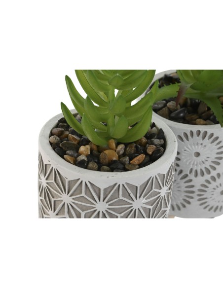Plante décorative Home ESPRIT Polyéthylène Ciment 6,5 x 6,5 x 11 cm (3 Unités)