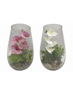 Plante décorative Home ESPRIT PVC Verre 15 x 15 x 25 cm (2 Unités)