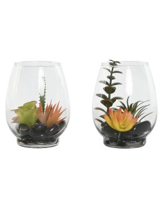 Plante décorative Home ESPRIT PVC Verre 10 x 10 x 15 cm (2 Unités)