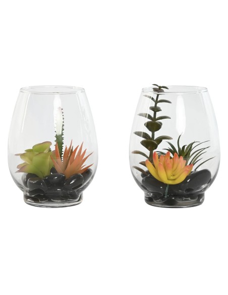 Plante décorative Home ESPRIT PVC Verre 10 x 10 x 15 cm (2 Unités)