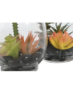 Plante décorative Home ESPRIT PVC Verre 10 x 10 x 15 cm (2 Unités) 2