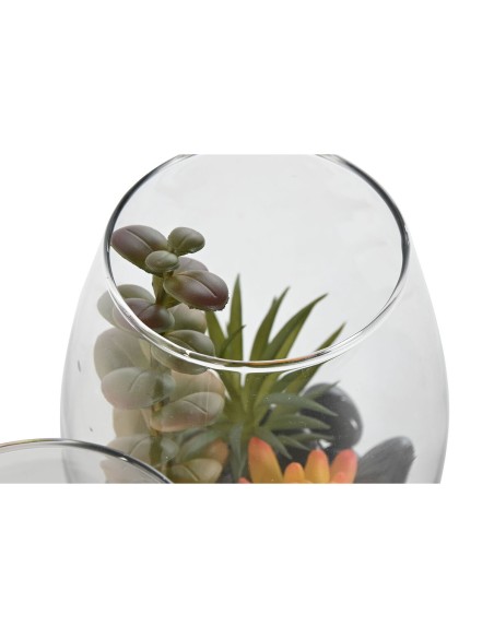 Plante décorative Home ESPRIT PVC Verre 10 x 10 x 15 cm (2 Unités)