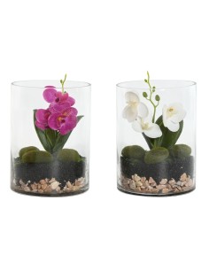 Plante décorative Home ESPRIT PVC Verre 15 x 15 x 20 cm (2 Unités)