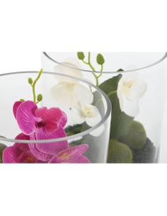 Plante décorative Home ESPRIT PVC Verre 15 x 15 x 20 cm (2 Unités) 2