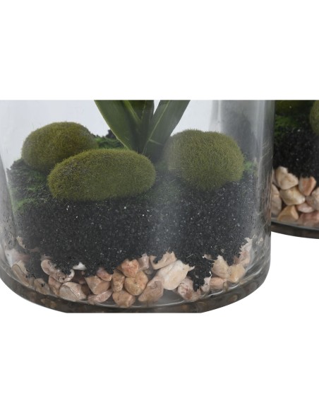 Plante décorative Home ESPRIT PVC Verre 15 x 15 x 20 cm (2 Unités)