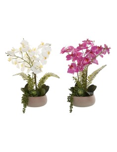 Plante décorative Home ESPRIT Polyéthylène Papier mâché 40 X 35 X 52 cm (2 Unités)