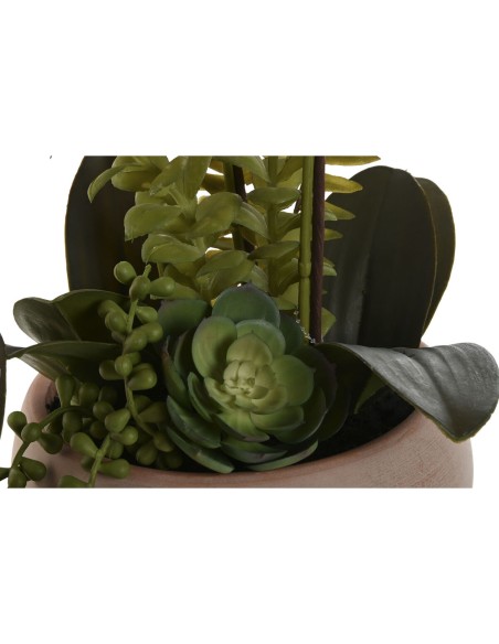 Plante décorative Home ESPRIT Polyéthylène Papier mâché 40 X 35 X 52 cm (2 Unités)