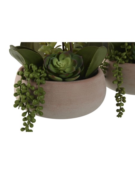 Plante décorative Home ESPRIT Polyéthylène Papier mâché 40 X 35 X 52 cm (2 Unités)
