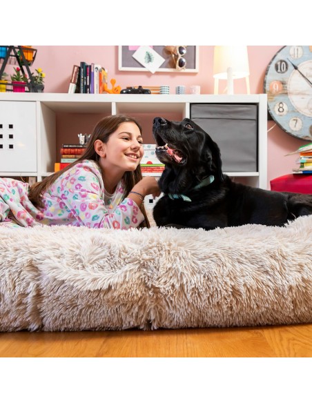 Lit de Chien pour Humains  Human Dog Bed XXL InnovaGoods Beige