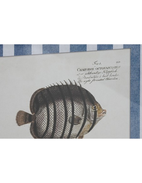 Cadre Home ESPRIT Bleu Poisson 40 X 2,5 X 55 cm (4 Unités)