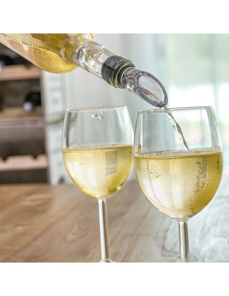 Rafraîchisseur de Vin avec Aérateur InnovaGoods