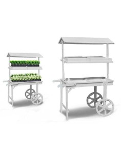 Support à roulettes pour pots de fleurs Ibergarden WP15014-W Bois 121 x 171 x 59 cm