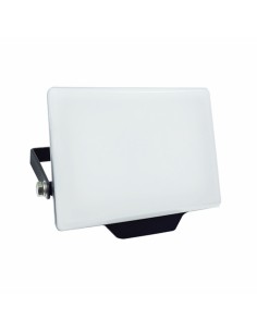 Projecteur Silver Electronics 173302 G (Blanc froid 6500K)