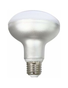 Lampe LED Silver Electronics R90 E27 Blanc Gris A++ 12 W (5000 K) 2