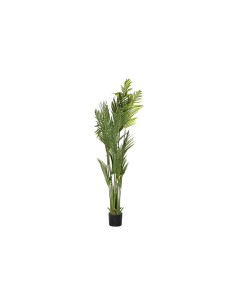 Plante décorative DKD Home Decor Palmiers Vert PE (50 x 50 x 180 cm)