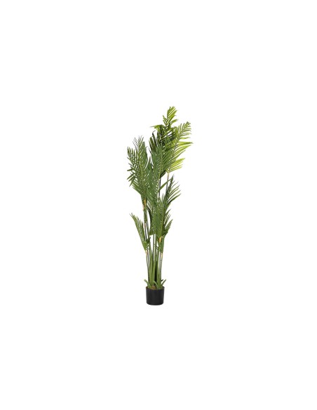 Plante décorative DKD Home Decor Palmiers Vert PE (50 x 50 x 180 cm)