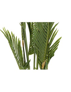 Plante décorative DKD Home Decor Palmiers Vert PE (50 x 50 x 180 cm) 2