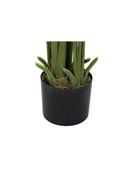 Plante décorative DKD Home Decor Palmiers Vert PE (50 x 50 x 180 cm)