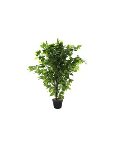 Plante décorative DKD Home Decor 50 x 50 x 90 cm Métal Polyéthylène Vert 30 x 40 cm Ficus Urbaine