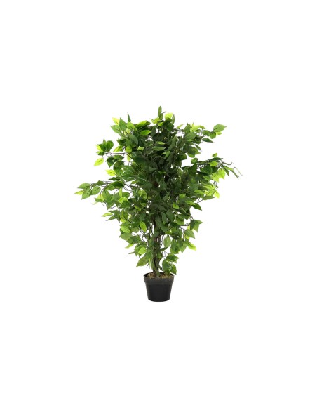 Plante décorative DKD Home Decor 50 x 50 x 90 cm Métal Polyéthylène Vert 30 x 40 cm Ficus Urbaine