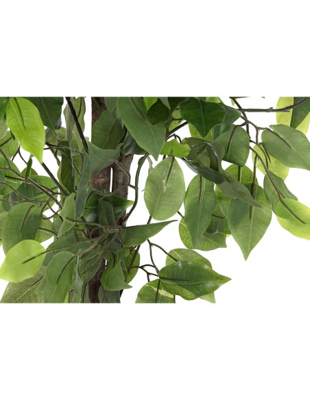 Plante décorative DKD Home Decor 50 x 50 x 90 cm Métal Polyéthylène Vert 30 x 40 cm Ficus Urbaine