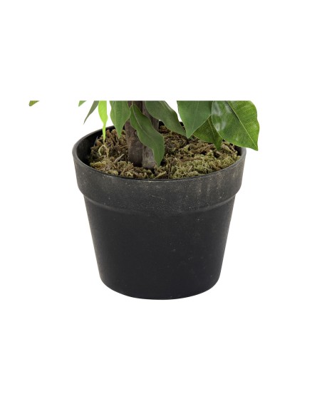Plante décorative DKD Home Decor 50 x 50 x 90 cm Métal Polyéthylène Vert 30 x 40 cm Ficus Urbaine