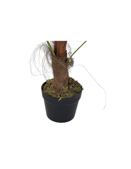 Plante décorative DKD Home Decor Palmier Vert PE (40 x 40 x 90 cm)