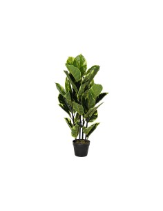 Plante décorative DKD Home Decor Polyéthylène Urbaine 40 x 40 x 90 cm
