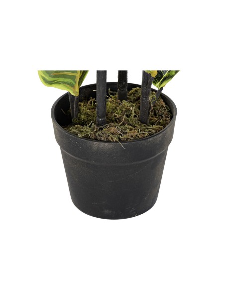 Plante décorative DKD Home Decor Polyéthylène Urbaine 40 x 40 x 90 cm