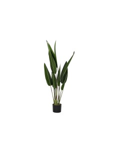 Plante décorative DKD Home Decor 40 x 40 x 115 cm Polyéthylène Vert Oiseaux de paradis Urbaine
