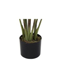 Plante décorative DKD Home Decor 40 x 40 x 115 cm Polyéthylène Vert Oiseaux de paradis Urbaine 2