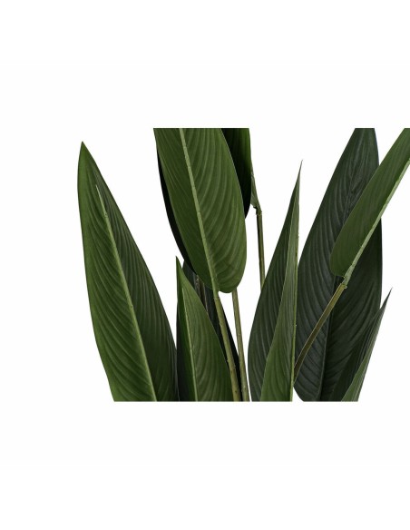Plante décorative DKD Home Decor 40 x 40 x 115 cm Polyéthylène Vert Oiseaux de paradis Urbaine
