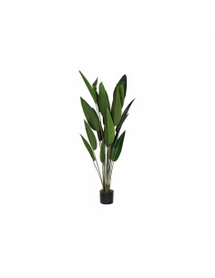 Plante décorative DKD Home Decor 50 x 50 x 160 cm Polyéthylène Vert Oiseaux de paradis Urbaine