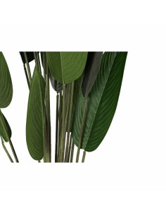 Plante décorative DKD Home Decor 50 x 50 x 160 cm Polyéthylène Vert Oiseaux de paradis Urbaine 2