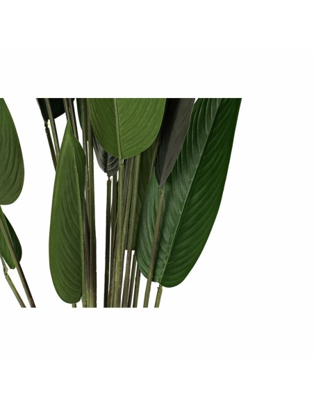 Plante décorative DKD Home Decor 50 x 50 x 160 cm Polyéthylène Vert Oiseaux de paradis Urbaine