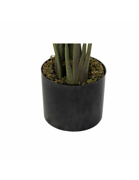 Plante décorative DKD Home Decor 50 x 50 x 160 cm Polyéthylène Vert Oiseaux de paradis Urbaine