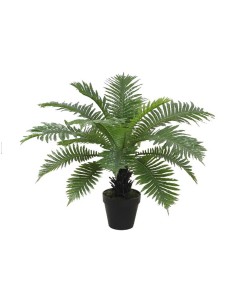 Plante décorative Home ESPRIT PVC Fougère 80 x 80 x 60 cm