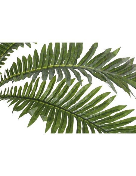 Plante décorative Home ESPRIT PVC Fougère 80 x 80 x 60 cm