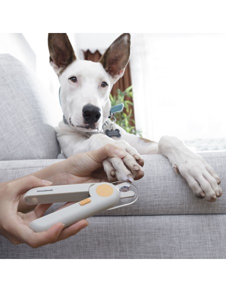 Coupe-griffes avec LED pour Animaux de Compagnie Clipet InnovaGoods